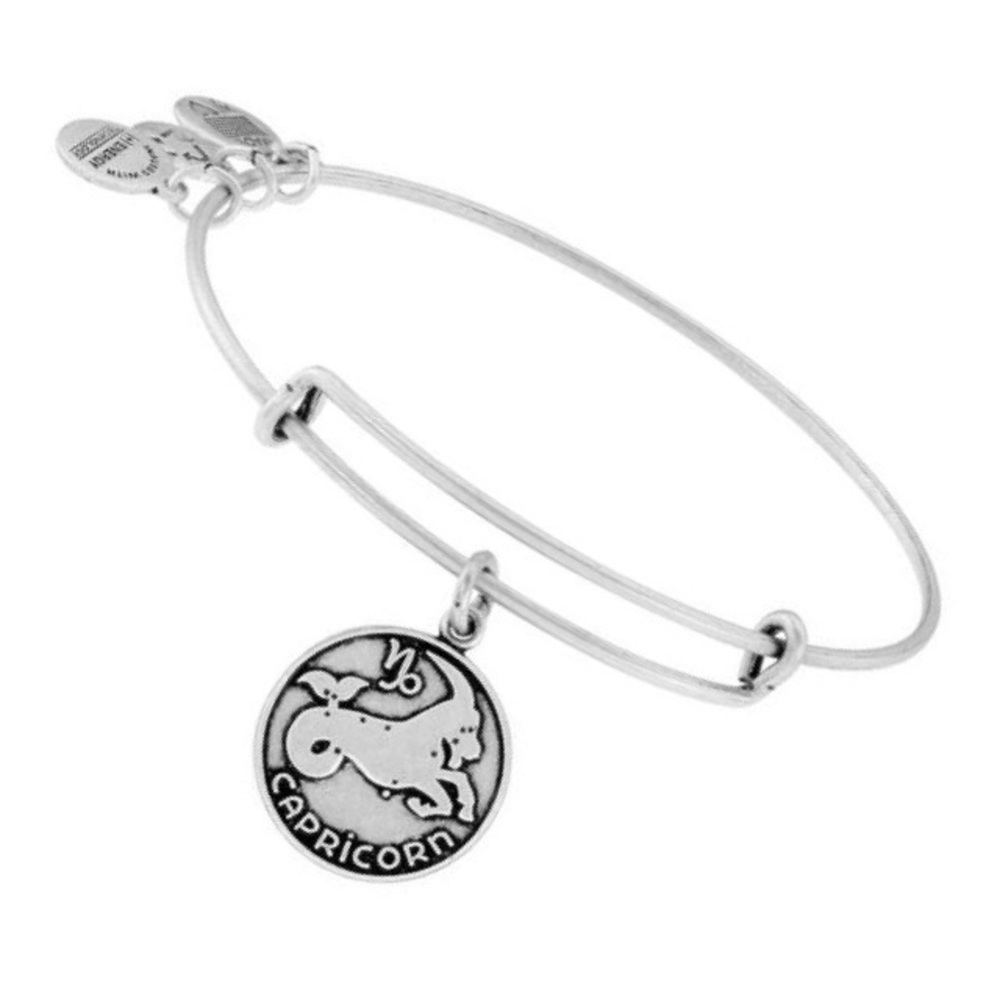 Alex & Ani Capricorn Charm Bangle Russian Silver - Picture 2 of 6